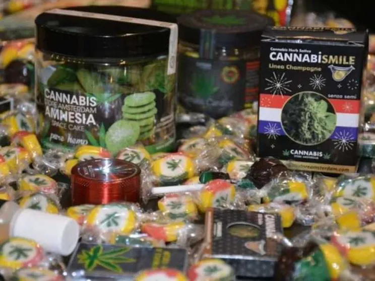 Viaggio nei misteri della cannabis