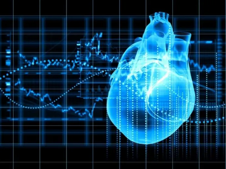 Ecco il modello algoritmico del cuore umano
