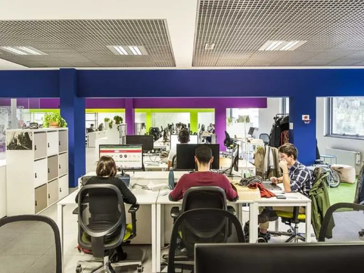 Alla ricerca di 20 persone