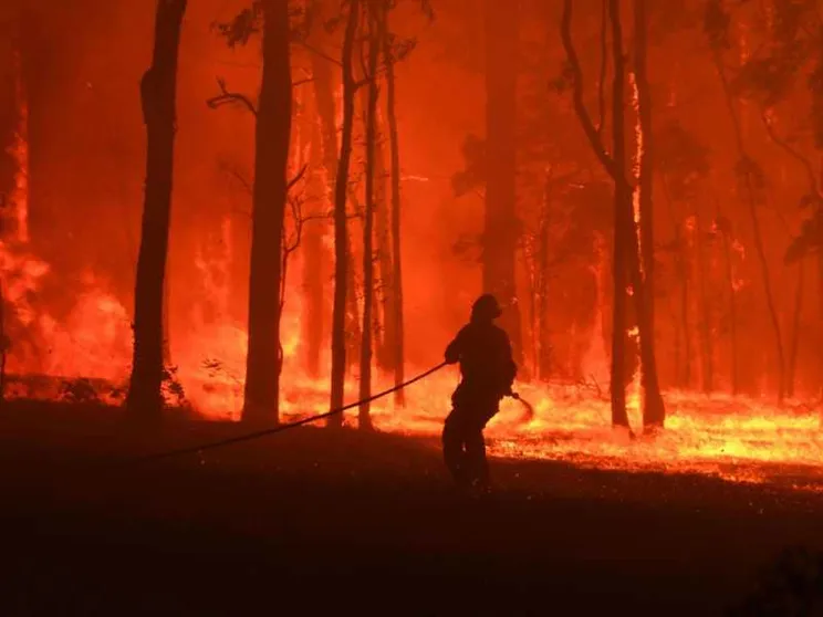 Gli incendi stanno devastando l'Australia
