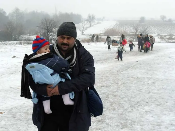 Migranti come lupi e orsi. Trieste vuole le fototrappole