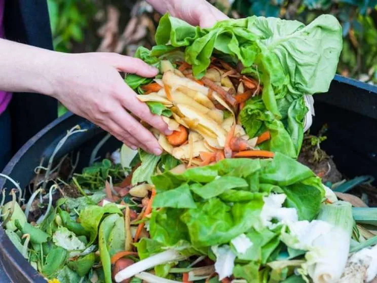 L'Italia ora spreca meno cibo