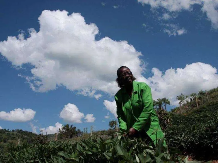 Così i contadini del Kenya vanno a scuola di sostenibilità