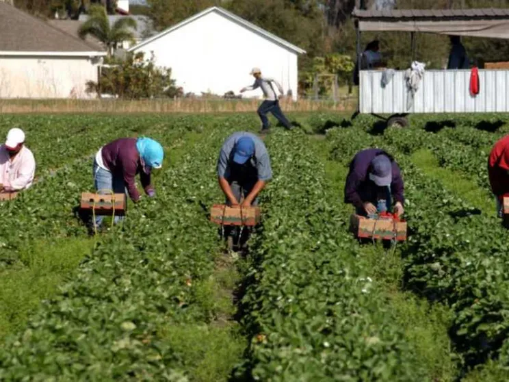 Lavoratori stranieri: cosa fare per "emergere"