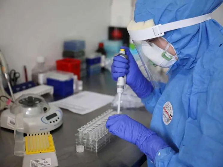 Il virologo americano Gallo: «Perché l'anti-polio può servire»