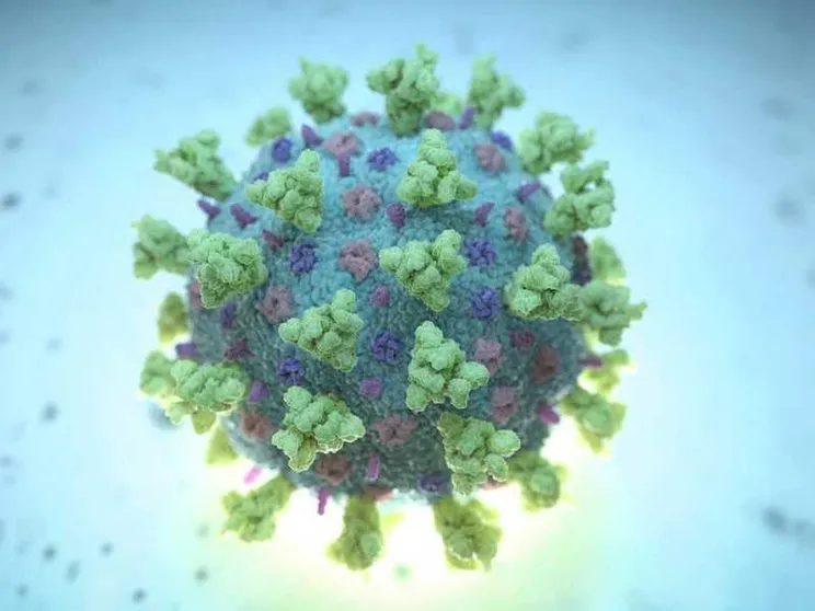C'è la prova: è il lockdown ad aver cambiato il virus
