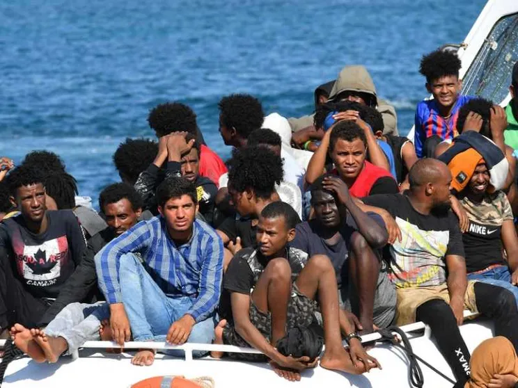 Cani mangiati a Lampedusa dai migranti: ecco perché è una bufala