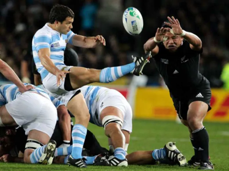 Le macchie dei Pumas: i trionfi e le ombre dell'Argentina del rugby