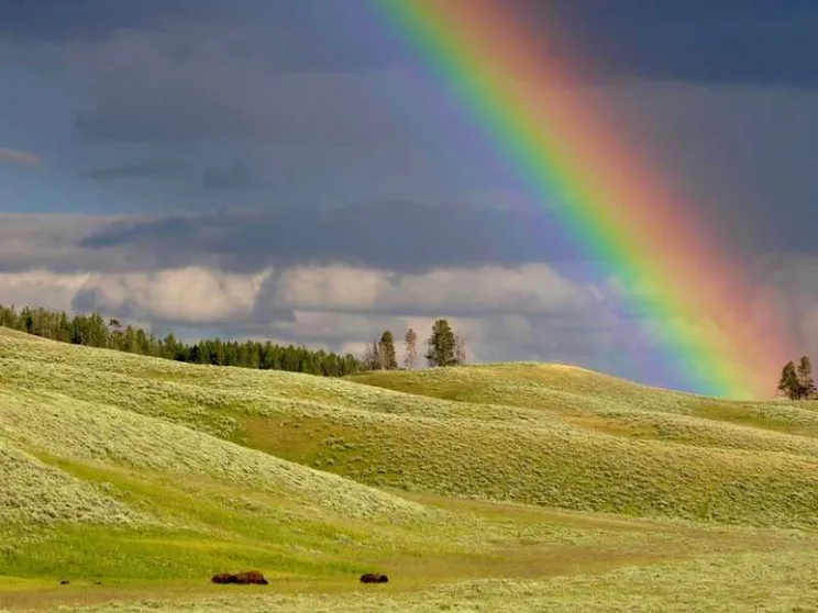 Se l'arcobaleno insegna che cosa sia la presenza