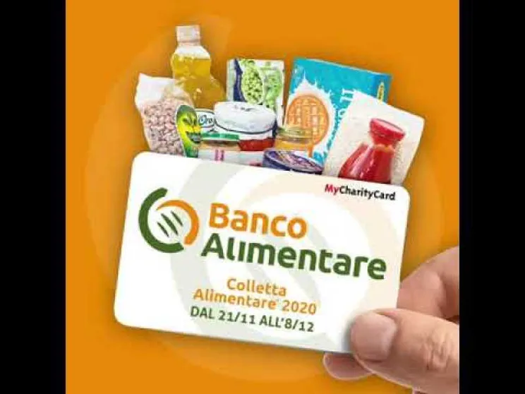 Come partecipare alla colletta alimentare (fino all'8 dicembre)