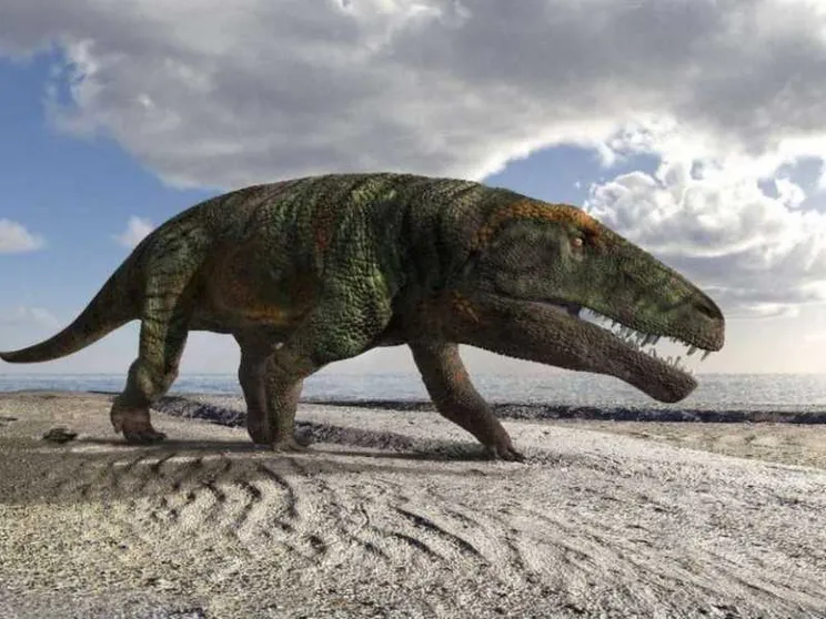 Trovate sulle Alpi cuneesi le orme di un nuovo "coccodrillo" preistorico