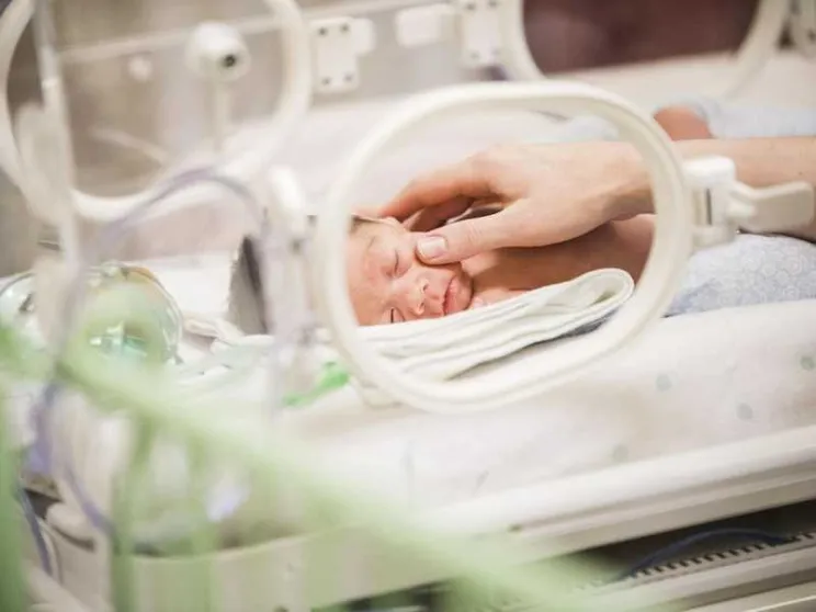 Piccoli piccoli, ma non si arrendono