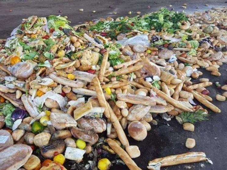 Sprechiamo ancora troppo cibo: servono nuovi atteggiamenti