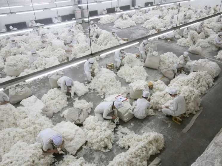 Primo stop in Italia al cotone prodotto dal lavoro forzato degli Uiguri