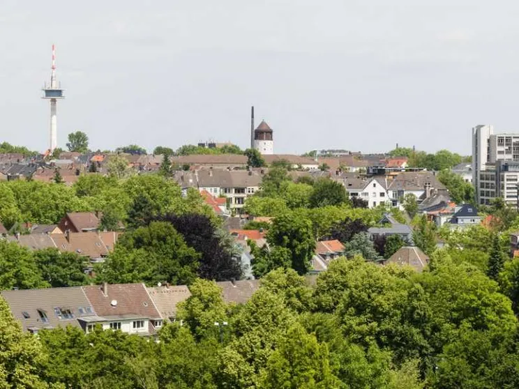 Grandi boschi e parchi urbani. Così le città europee si fanno verdi
