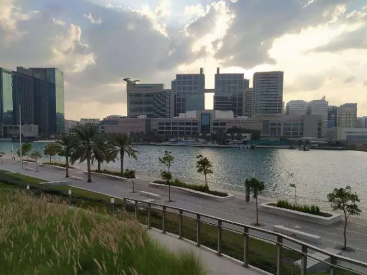 Emirati Arabi, dalle armi alla cooperazione