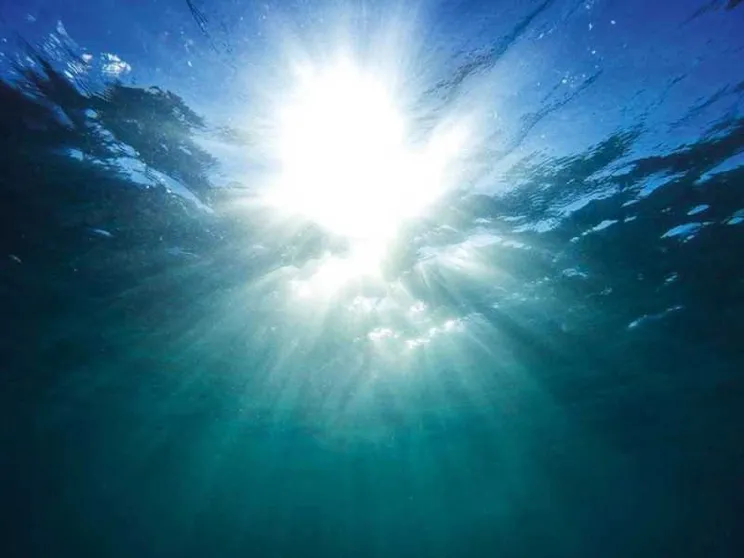 Difendere la salute dell'oceano ci aiuterà a salvare il pianeta