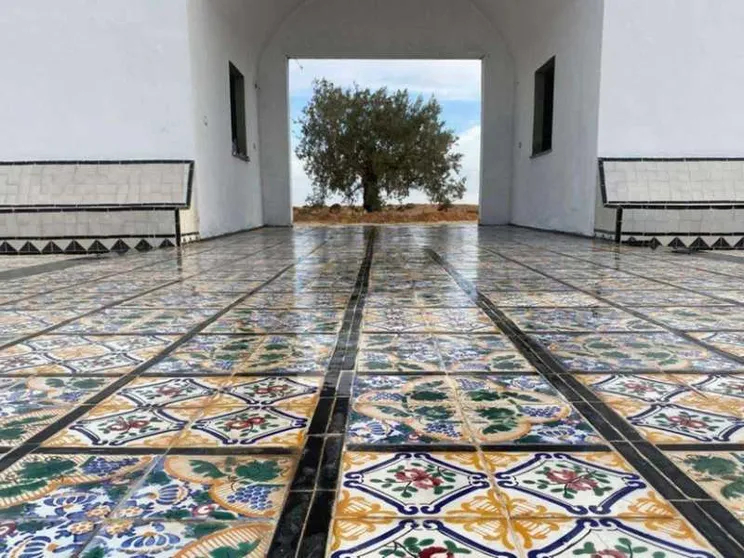 Un giardino d'Africa e l'ulivo della pace in memoria dei morti nel Mediterraneo