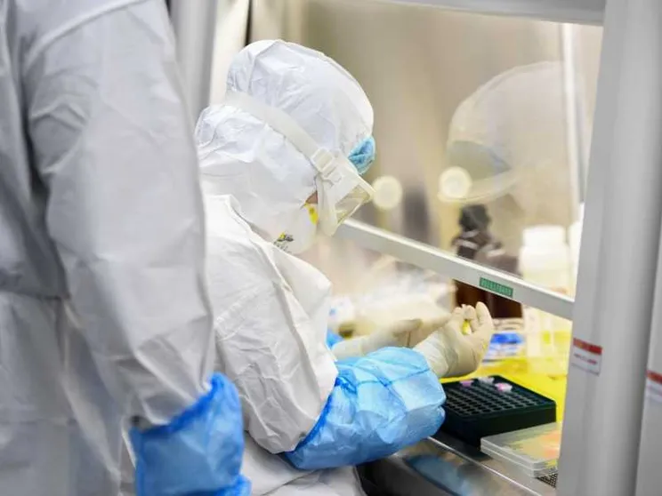 «Ritrovate le prime prove genetiche del virus di Wuhan»
