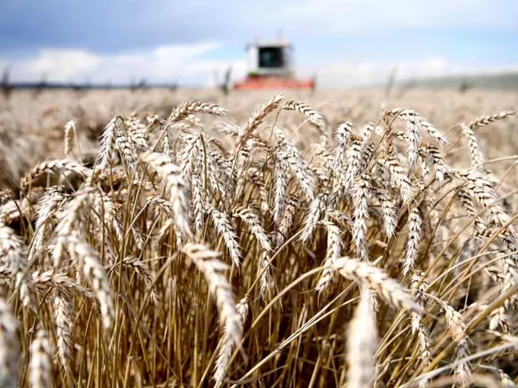Sulla biodinamica si gioca una scelta di campo