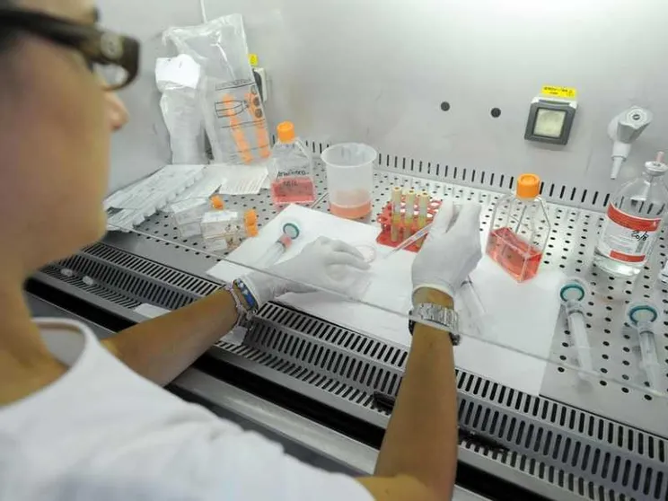 Fa discutere la «bioetica alla francese»: provetta per tutte, embrioni ibride