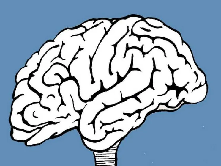 Le neuroscienze cambieranno tutto?