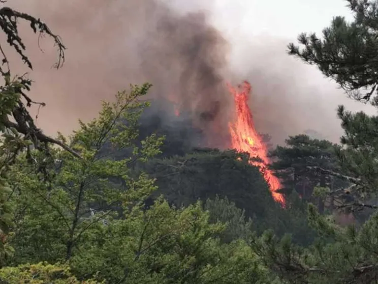 Vent’anni fa gli incendi erano crollati del 90%, il modello dimenticato