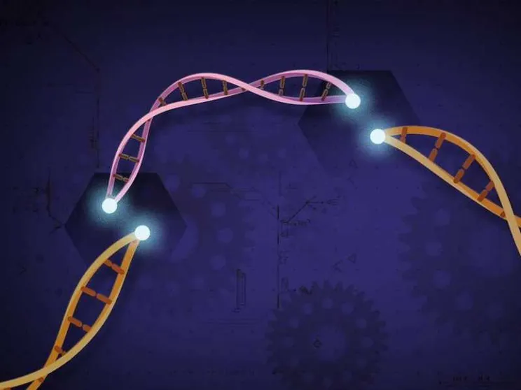 Editing genetico, le sfide etiche delle cure con la tecnica Crispr