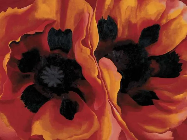 Il senso di Georgia O’Keeffe per i fiori