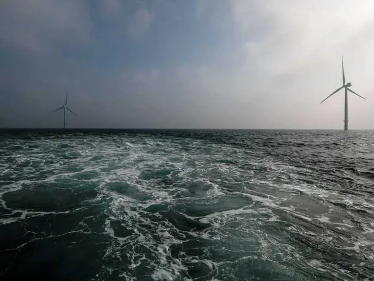 Gli ostacoli imprevisti dell'eolico: renne e pescatori fermano le pale