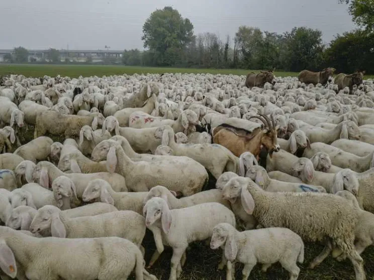 Giornata del Ringraziamento: «Ecologia integrale come stile di vita»