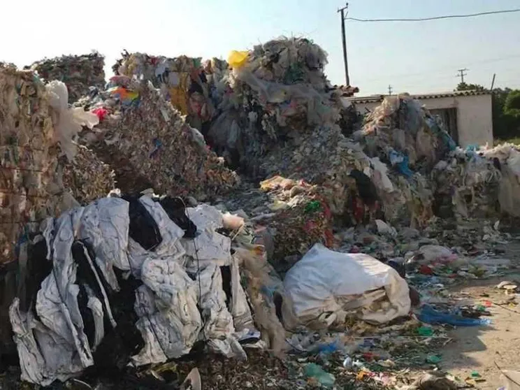 Ecomafie: illegalità quasi una “componente naturale"