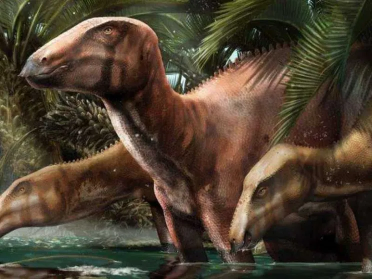Dinosauri, scoperto il primo branco in Italia