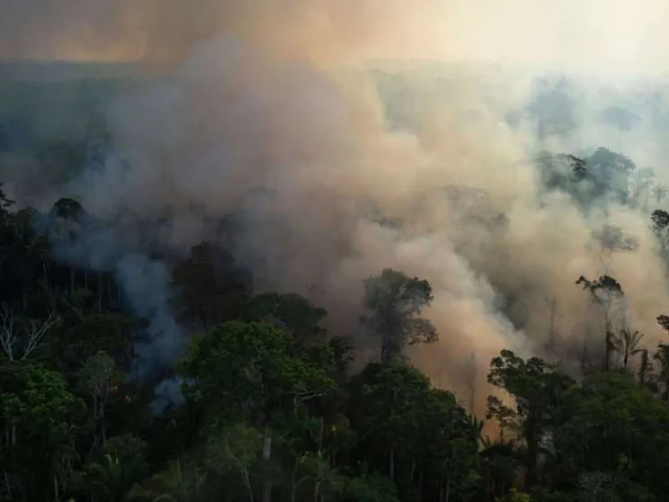 Difendevano l'Amazzonia: sterminati padre, madre e figlia