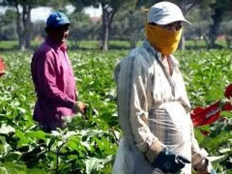 Lavoratori extracomunitari, via libera a 69.700 ingressi