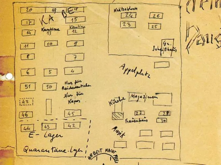 Il dilemma di Primo Levi fra ordine e caos