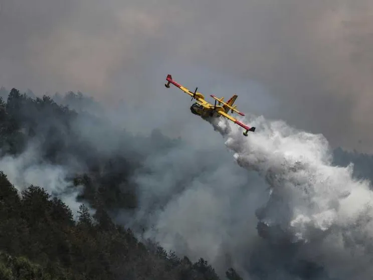 Siccità e incendi d'inverno, il cambiamento è già qua