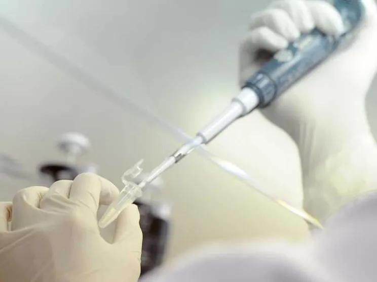 D’Agostino: la persona è la chiave per una bioetica della tecno-scienza
