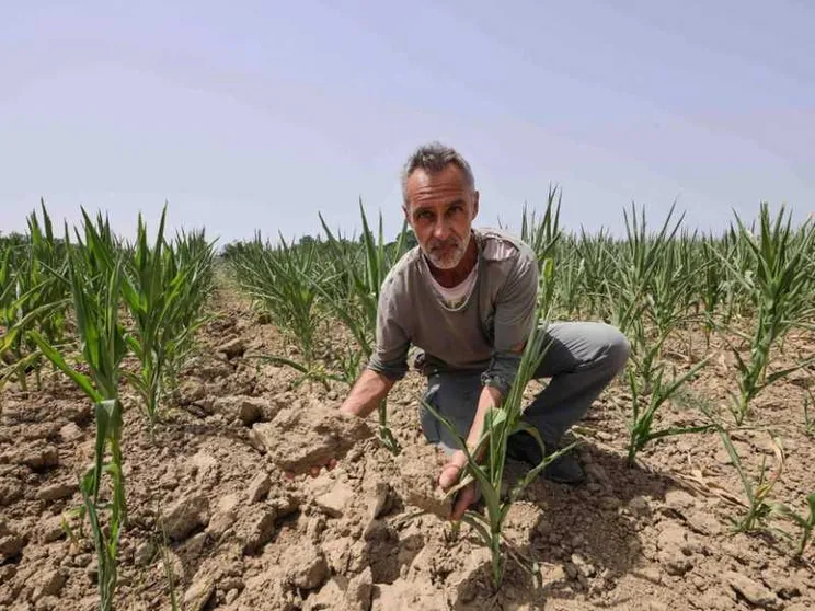 La terra è polvere, boom degli insetti. E il Grande Fiume è sempre più salato