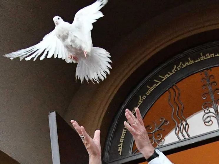 La Giornata per la carità del Papa, segno di pace