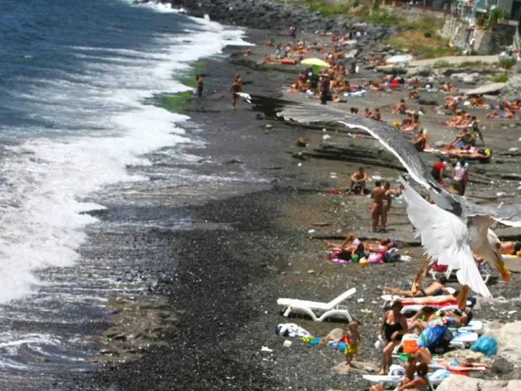 Bellezza e ricchezza per tutti: proteggiamo le nostre spiagge