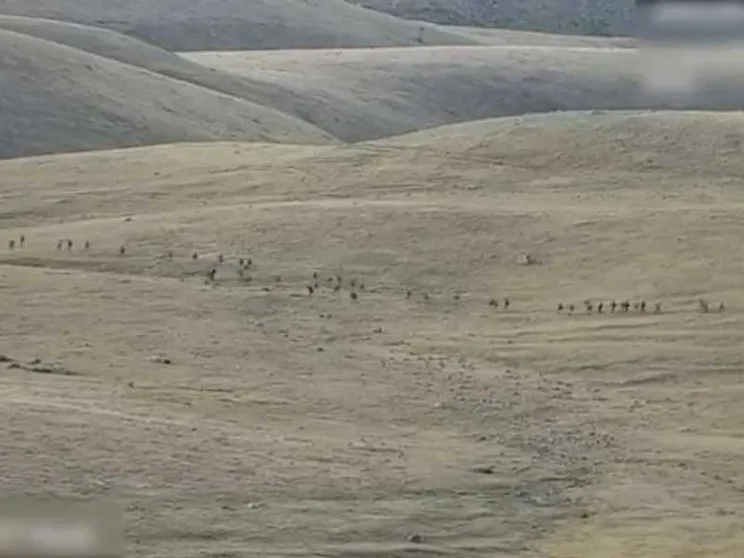 Scontri tra Armenia e Azerbaigian, cento morti. L'escalation e gli interessi