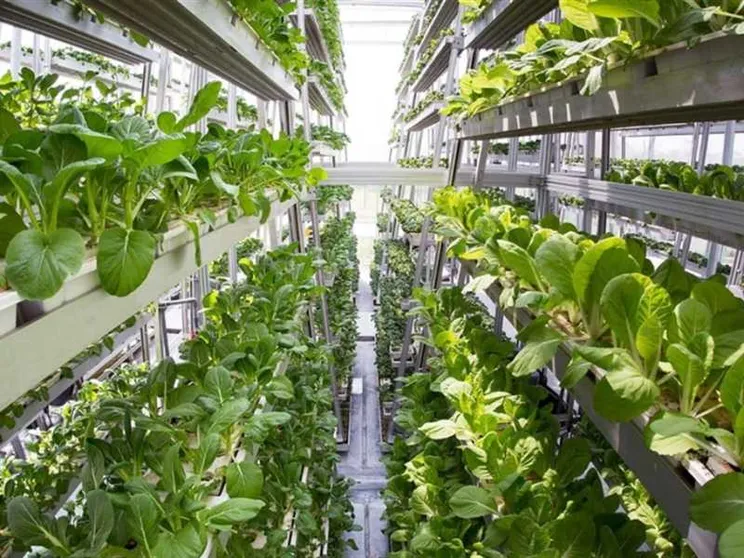 Un futuro in salita, ma export e bio battono la crisi