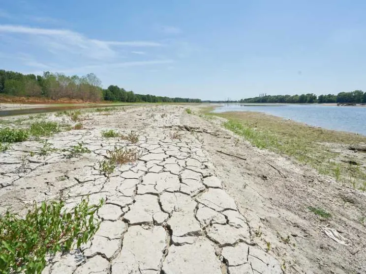 La sfida dell'antropocene: estendere la reciprocità alla terra profanata