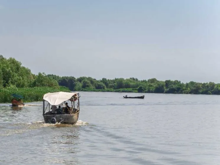 Il degrado del Danubio un indizio del legame tra l'ambiente e la pace