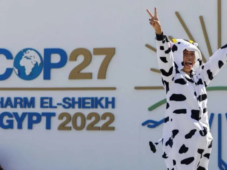 Al via il vertice Cop27 sul cambiamento climatico: cosa c'è da sapere