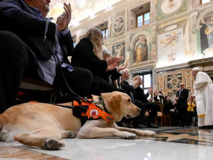 Il Papa: no al pietismo verso i disabili