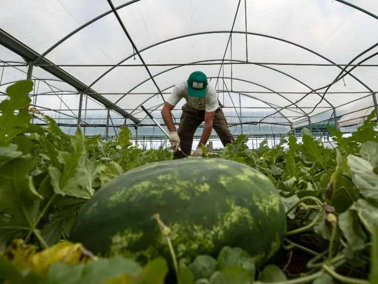 Lavoratori domestici e agricoli, la regolarizzazione è infinita