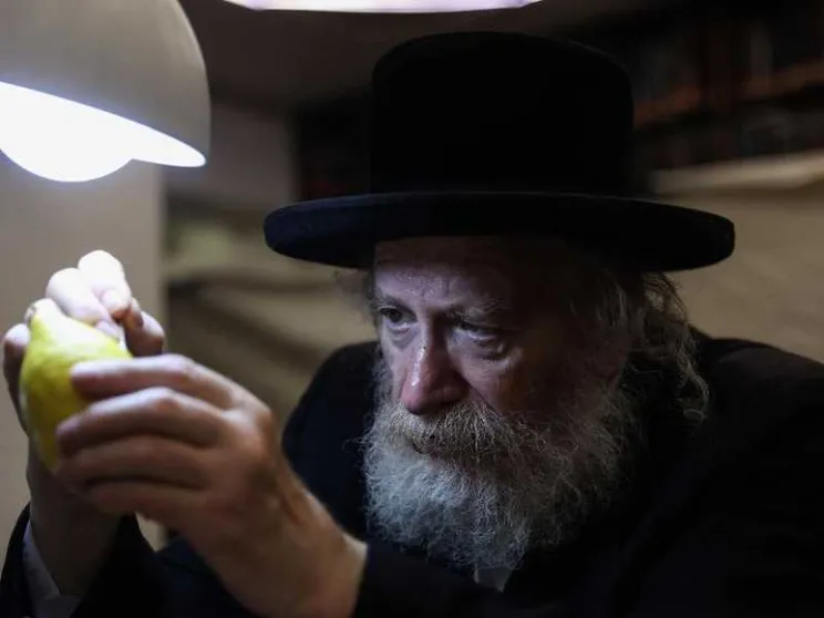 Nelle capanne di Sukkot la bellezza abita la precarietà
