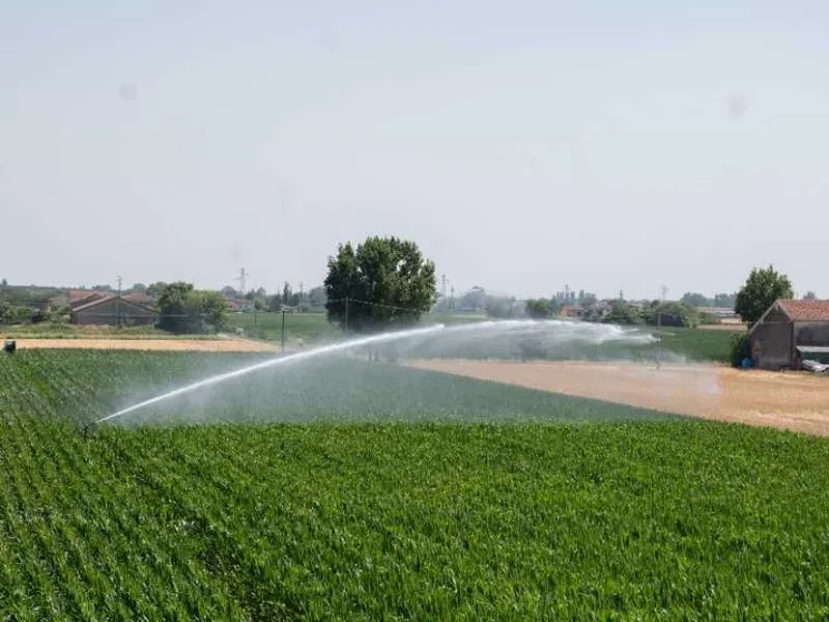 Acqua in gocce, sensori e satelliti: così la siccità cambia l'agricoltura